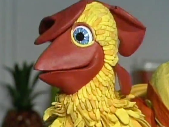 Russel Rooster